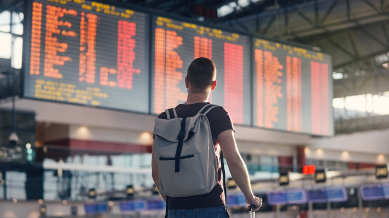 Traveler examining departure board
