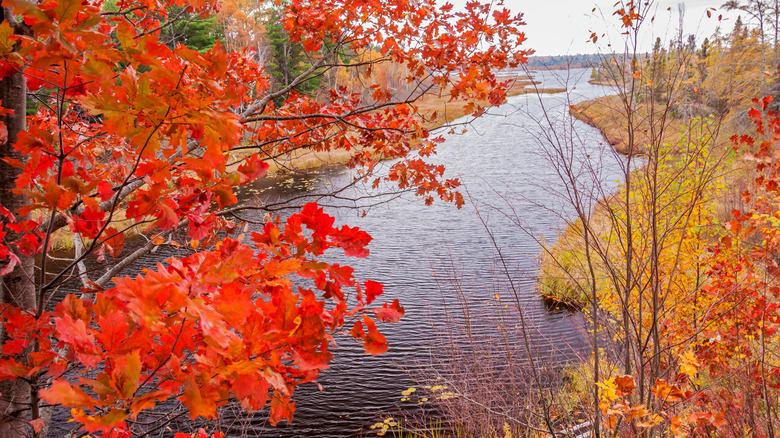 Autumn colors on Madeline Island