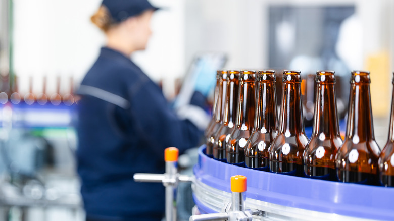 Bottles of beer being produced in a factory