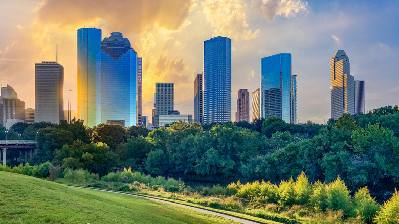 green space with trees and wide view of Houston skyline with buildings