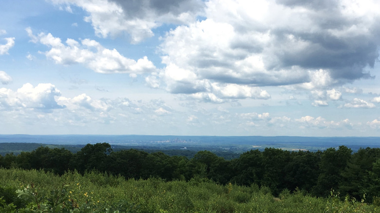 Mountain top view from Case Mountain Connecticut, with Hartford's skyline in the distance