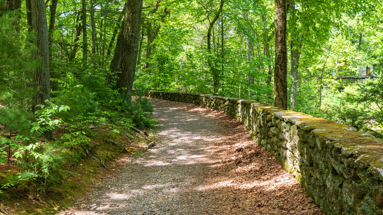 An old stonewall borders a path through the forest at the Case Mountain Recreational Area