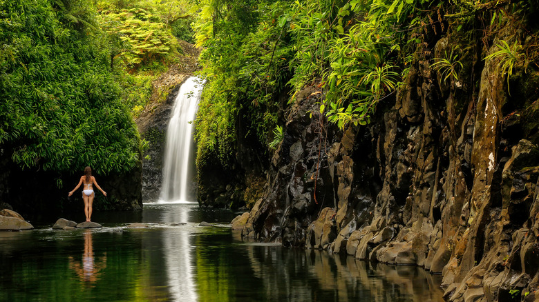 Waterfall on Taveuni, Fiji