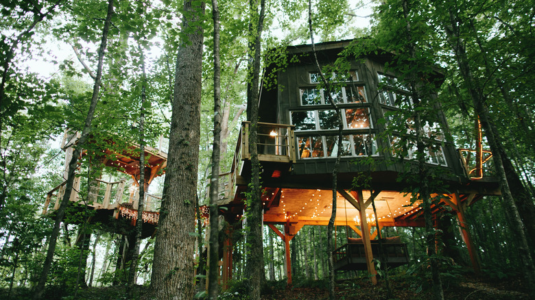 Exterior view of the Majestic Treehouse, one of Bolt Farm's properties, in the forests of Walhalla in upstate South Carolina