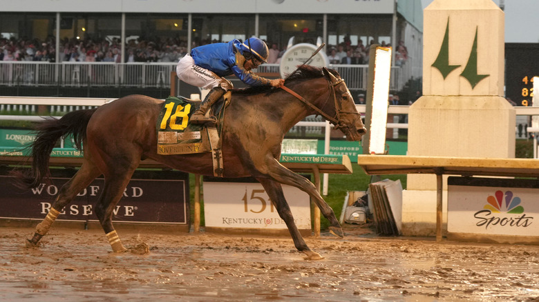 Sovereignty wins the Kentucky Derby in 2025.