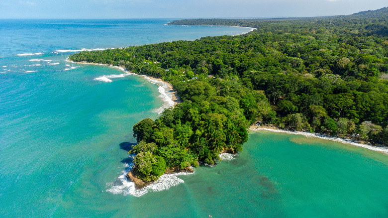 Aerial view of Punta Uva beach, surrounded by blue waters and green forests in Limón, Costa Rica