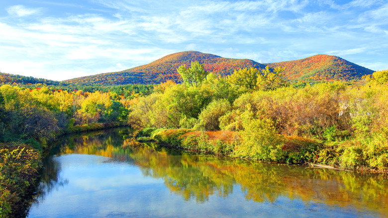 Colorful fall foliage along a river in The Berkshires, Massachusetts