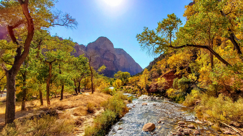 Virgin River in Zion Canyon National Park in fall