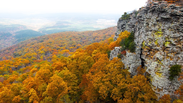 Autumn view from Mount Magazine State Park, Arkansas