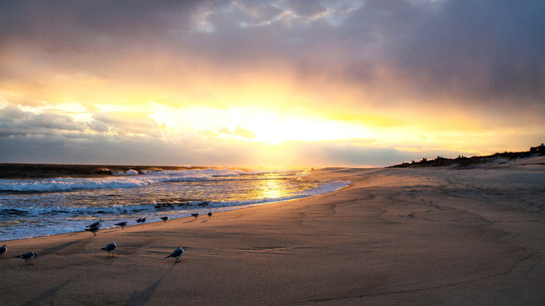Sunset at Coopers Beach in Southampton, New York