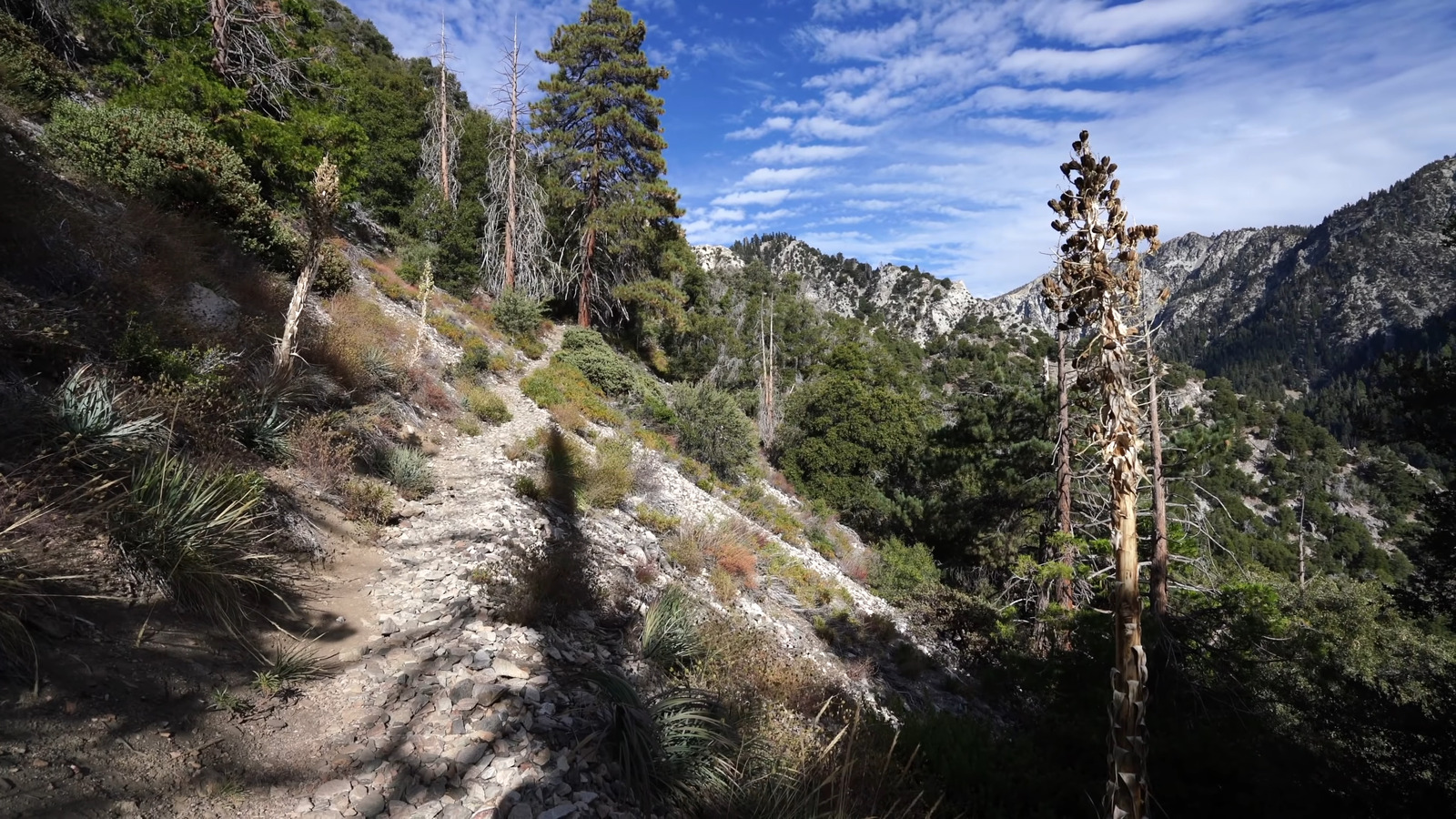 The Tough Hike To Southern California's Tallest Mountain Is Beyond