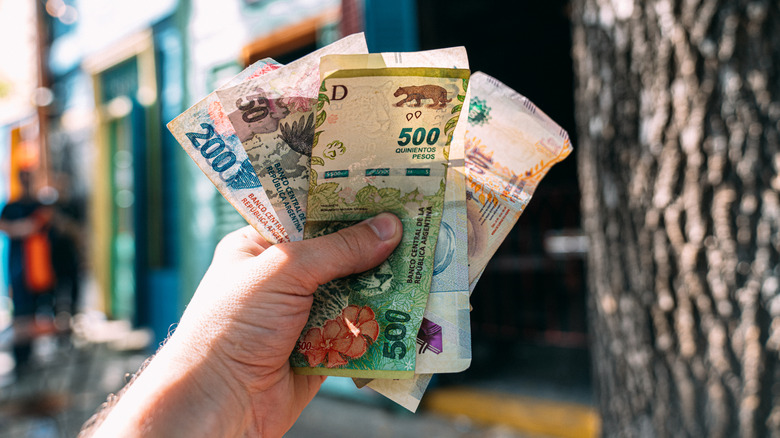 A hand holds up a fistful of Argentine pesos