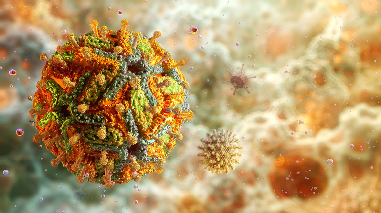 Microscopic view of the yellow fever virus