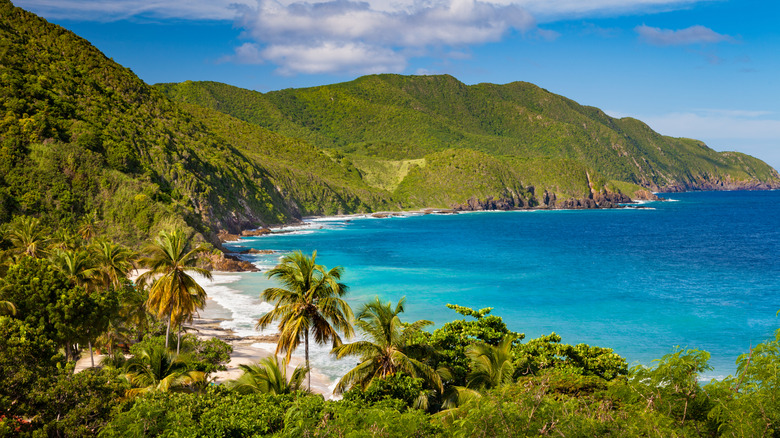 View of rugged beach backed by jungle on St. Croix, USVI