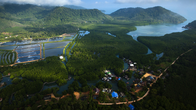 Aerial view of Koh Chang
