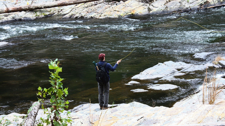 Fly fishing on an Oklahoma river