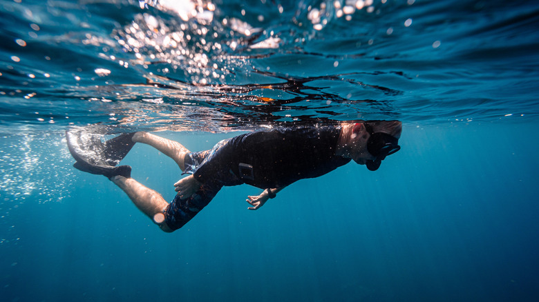 Person snorkeling in dark water, looking down