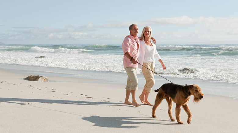 Older couple walking a dog on leash along the beach