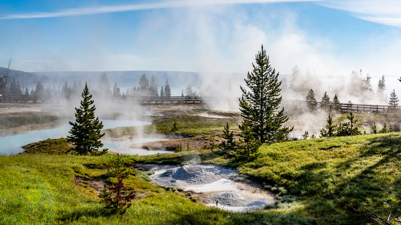 Geysers at Yellowstone National Park