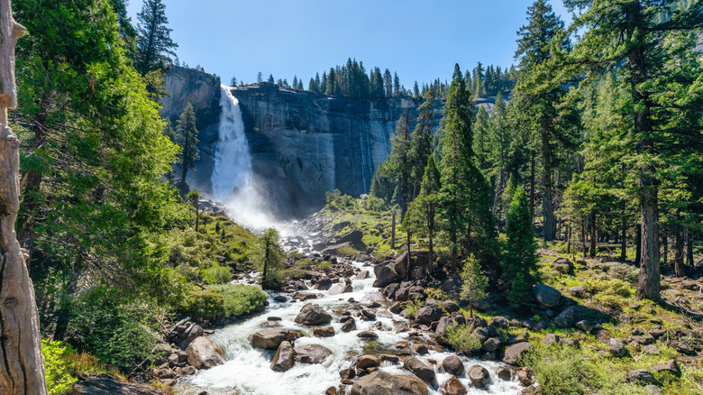 Waterfall and trees at Yosemite National Park