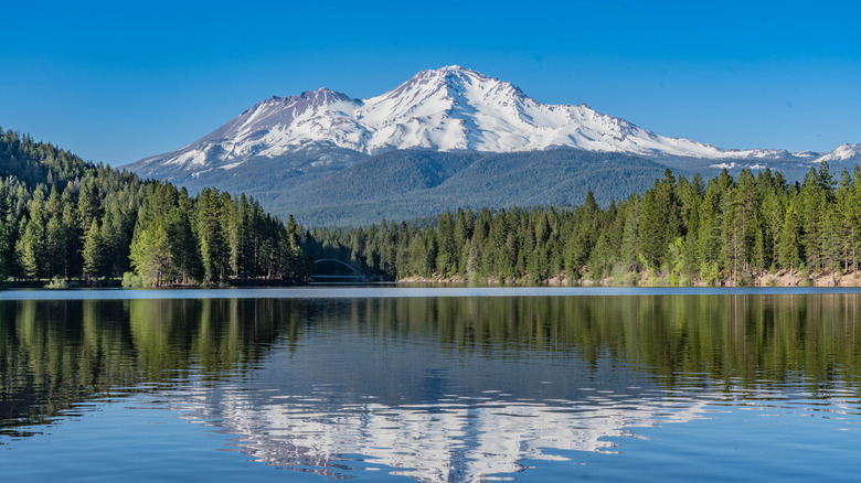 Reflection of Mt. Shasta in Shasta-Trinity National Forest
