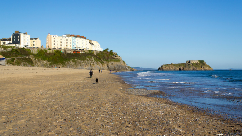 A dog and owner walks on the sands of Tenby Beach in Wales.
