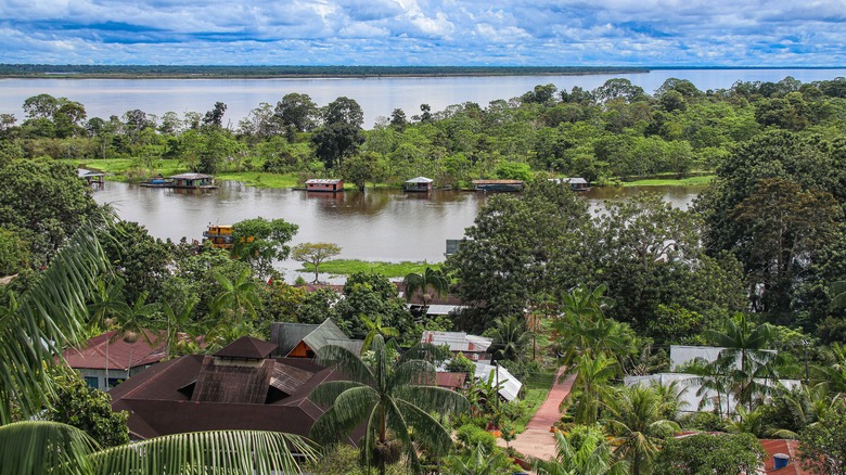 Colombian Amazon