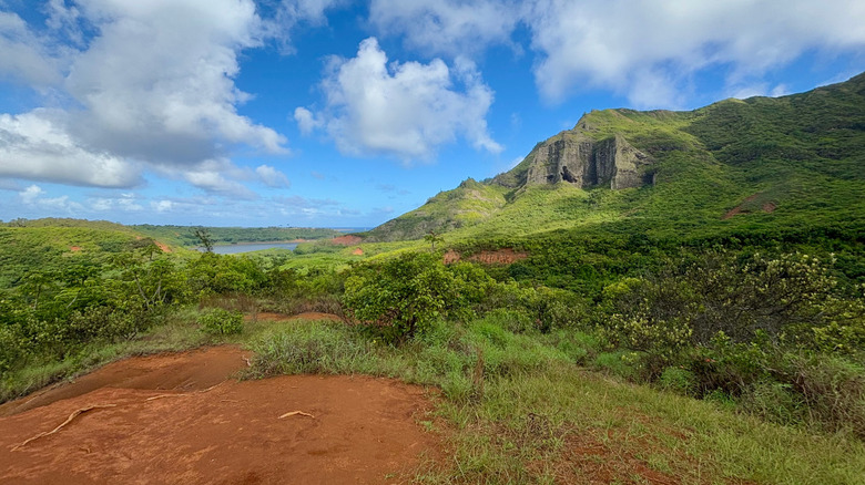 The wilds of Kipu Ranch in Hawaii