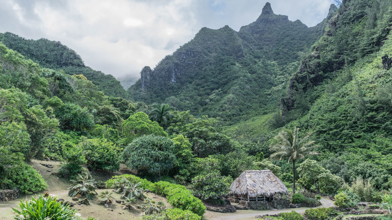 A thatched hut set among lush mountains in the Limahuli Garden and Preserve