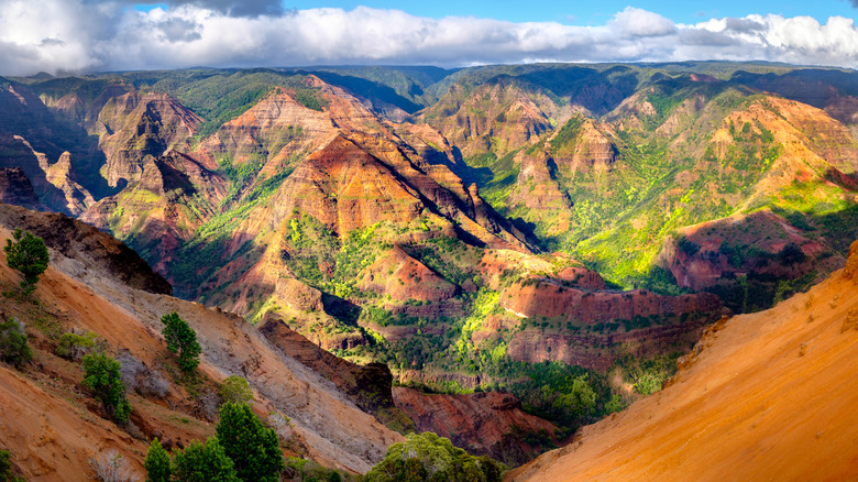A panoramic landscape of the Waimea Canyon in Kauai