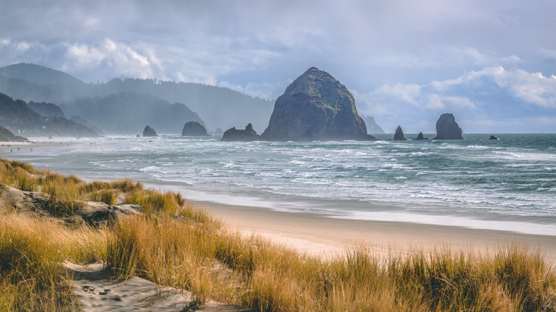 Shoreline view of Haystack Rock at Cannon Beach