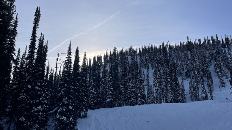 Ski tracks on a slope at Lost Trail Powder Mountain near Sula