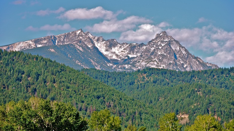 Snow on the top of Trapper Peak with wooded mountains below it