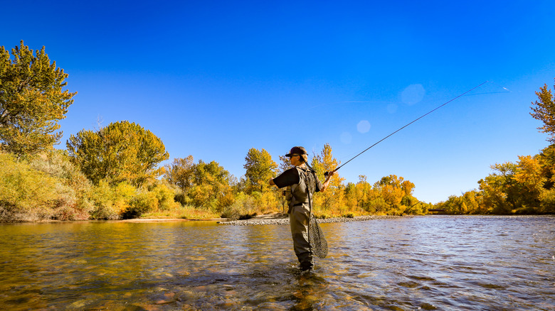 Man fly fishing on a lake, surrounded by greenery.