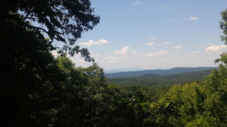 View from Rich Mountain Road in Great Smoky Mountains National Park
