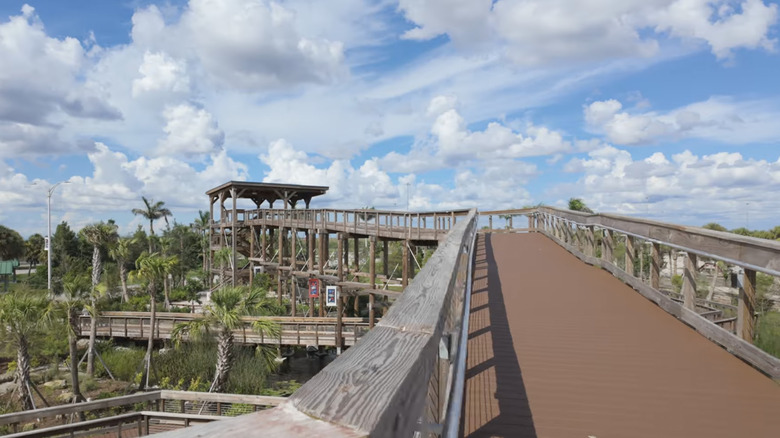 Elevated boardwalk at Mile Marker 35