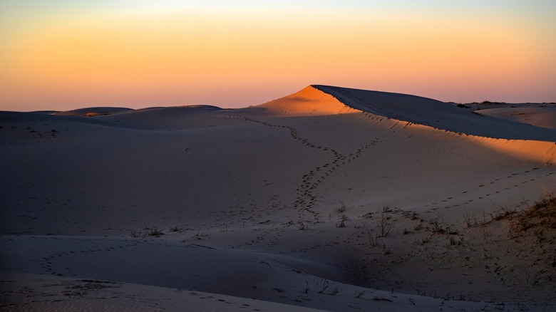 Monahans Sandhills State Park