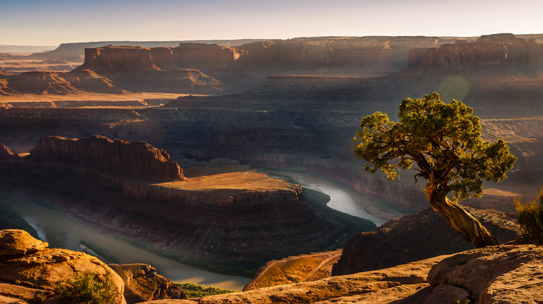 canyon with river