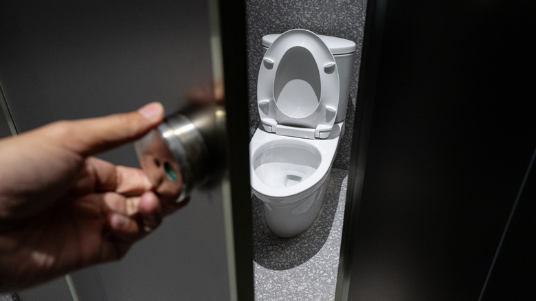 Hand turning bathroom door handle