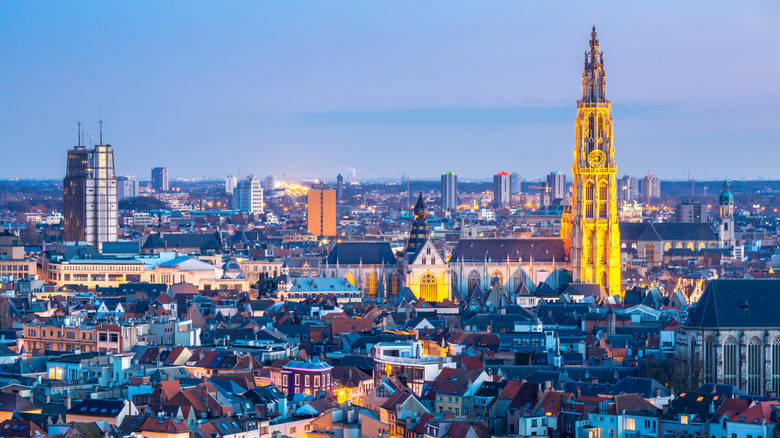 Antwerp city skyline from above at sunset