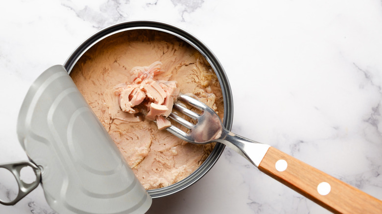 Half-opened can of tuna impaled by fork