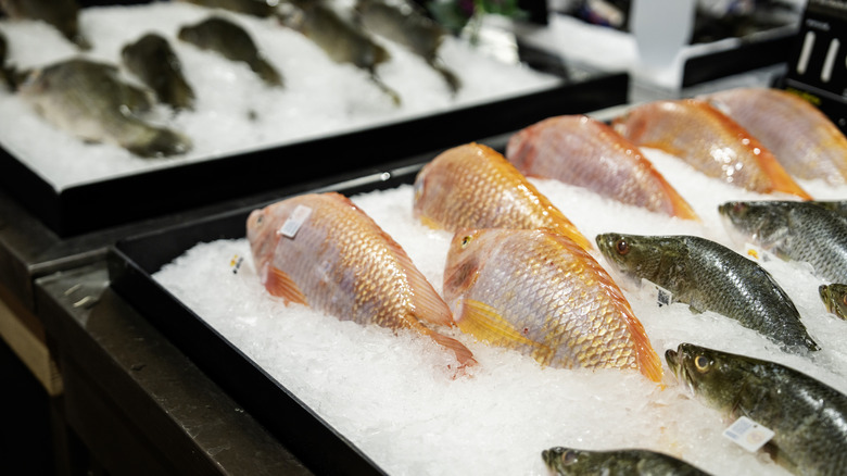 Fish frozen in ice in store