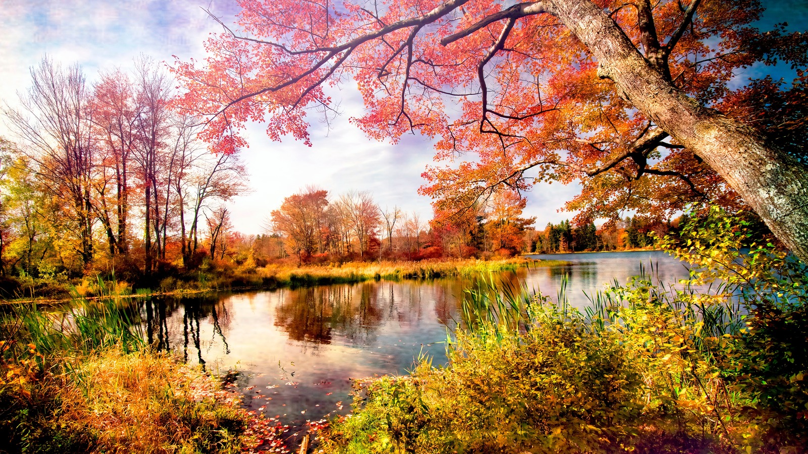 The Unexpected US State With One Of The Best Nudist Resorts In America