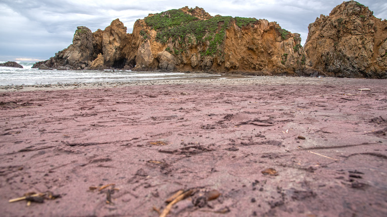 Purple sand at Pfeiffer Beach