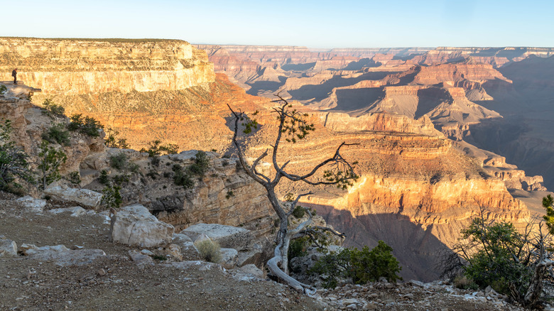 Cliffs overlooking the chasm of Grand Canyon National Park