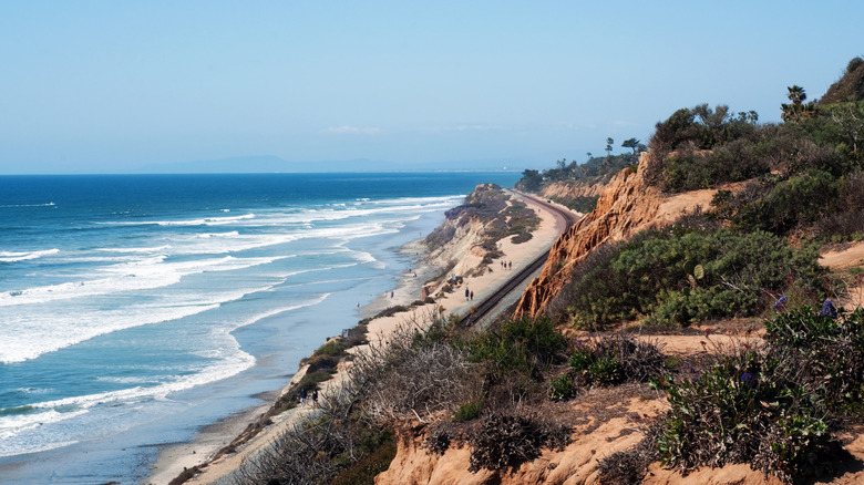 winding coastal road and waves