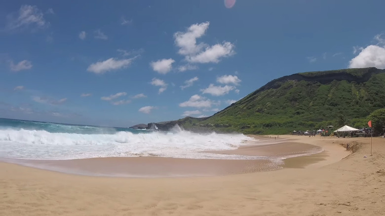 hawaii Oahu sandy beach waves 