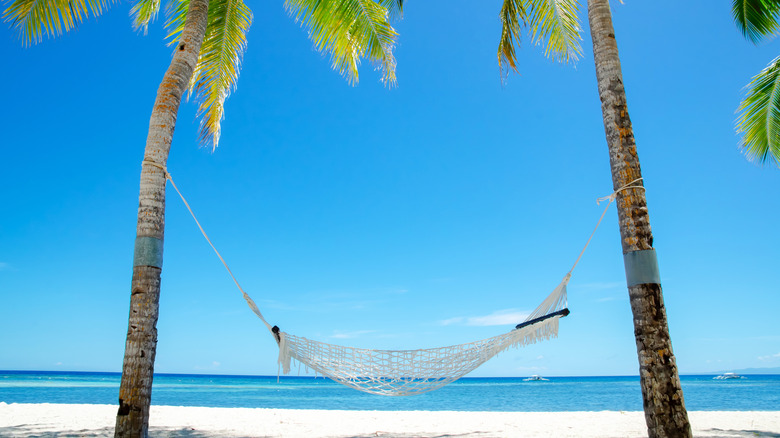 A hammock in the palm trees along an aquamarine shoreline