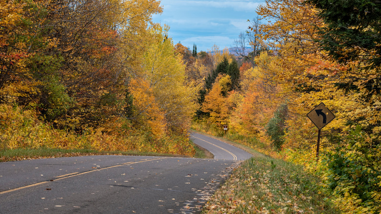 Fall colors around Ironwood