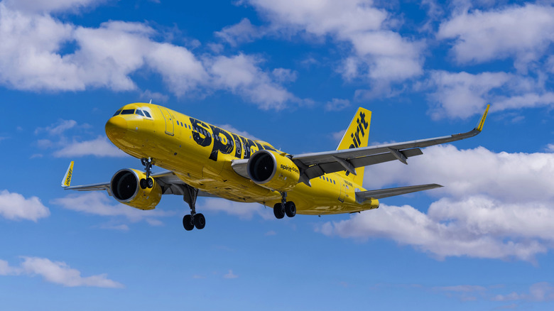 Spirit Airlines plane in flight